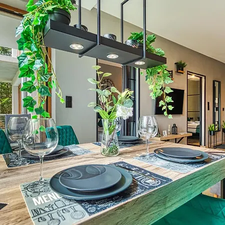 Loft Mountain Διαμέρισμα Szklarska Poręba