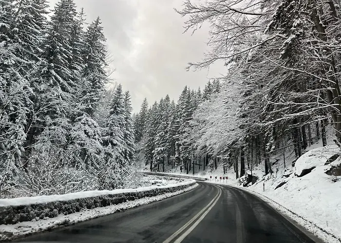 Loft Mountain شكلارسكا بوريبا